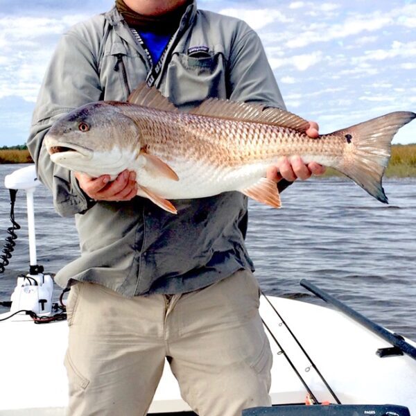 A person man holding a fish on a boat